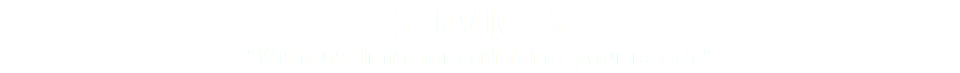SERVICES “Without Limits for satisfying your needs”